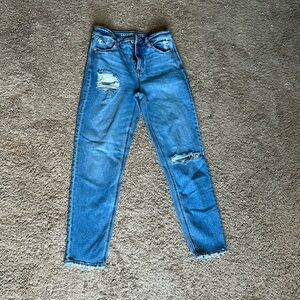 American Eagle Mom Jeans